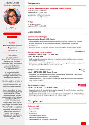 Déclinaison graphique du modèle de CV