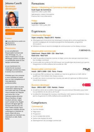 Graphic variations of resume template