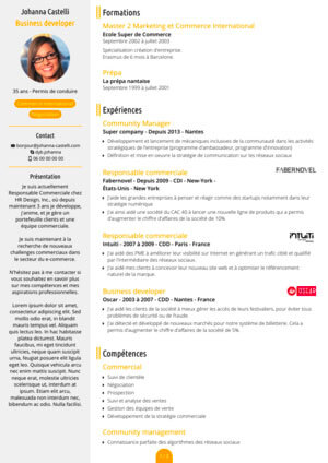 Graphic variations of resume template