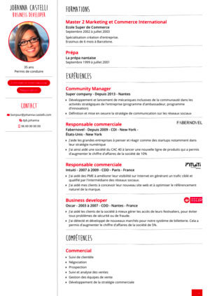 Déclinaison graphique du modèle de CV