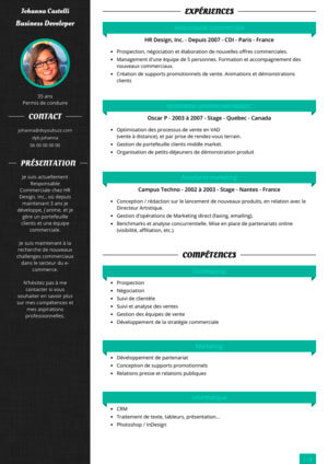 Graphic variations of resume template