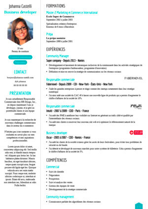 Graphic variations of resume template