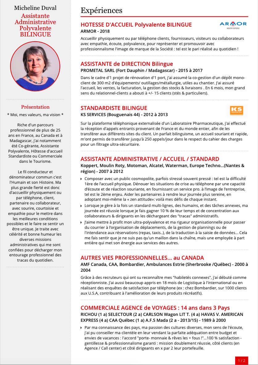 Variazioni grafiche del modello di curriculum