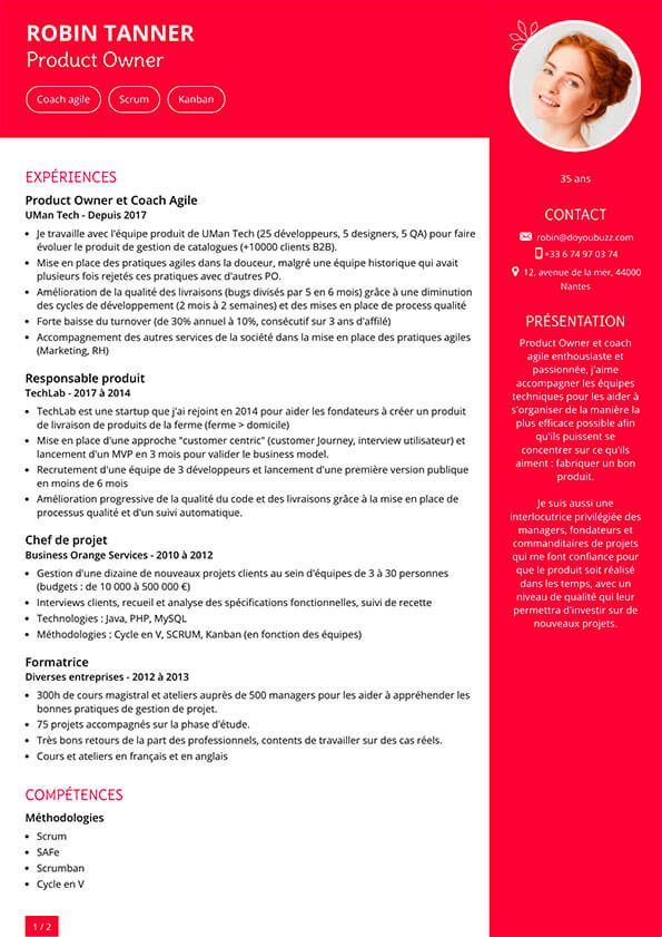 Exemple d'un CV visible sur internet